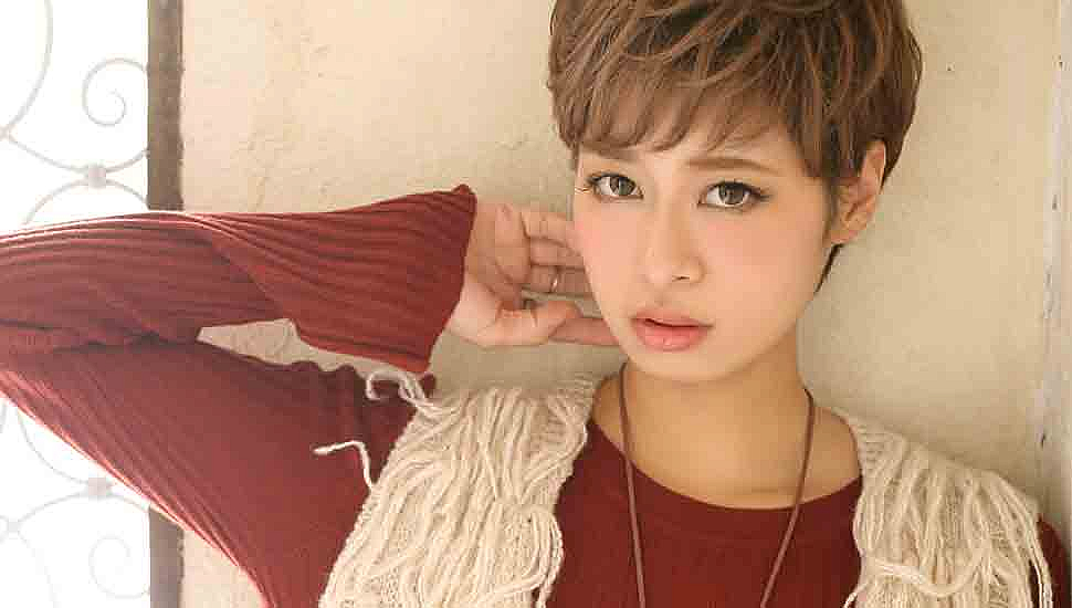 Official Website Renewal Open